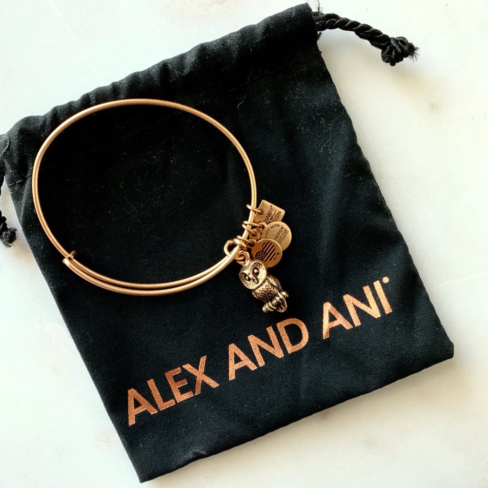 Alex and Ani Owl Charm Bangle by Flying Kites Gold